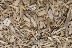 biomass boilers Tadwick